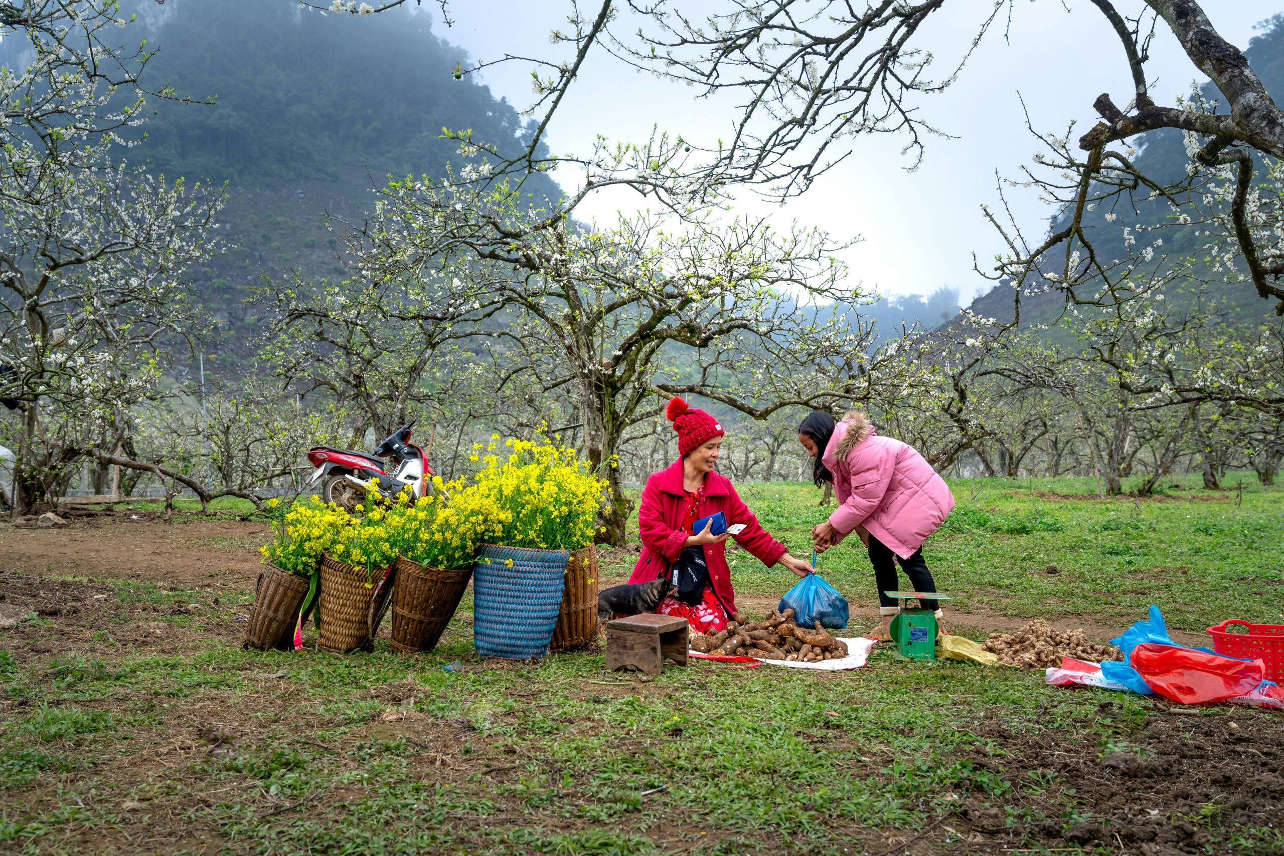 Creating a Sustainable Cycle of Buying and Donating