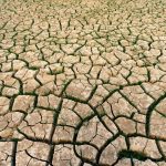 The Impact of Shopping on Your Overall Carbon Footprint