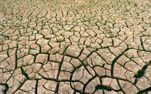 The Impact of Shopping on Your Overall Carbon Footprint