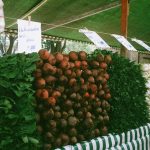 How to Create a More Sustainable Food Shopping Routine