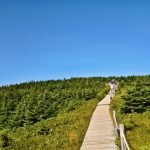 The Future of Tourism: Sustainable and Eco-Conscious Vacations