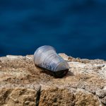 The Impact of Packaging Waste on the Environment