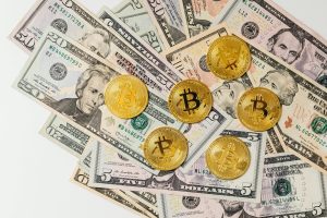 Evaluating Gold Versus Cryptocurrency Investment Risks