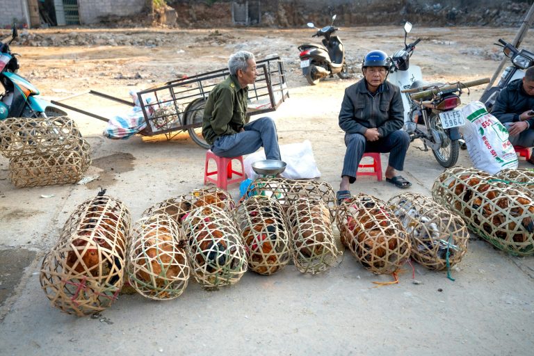 How to Spot Counterfeit Designer Goods Before You Buy