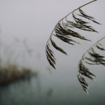 Mastering the Art of Packing Light for Extended Vacations